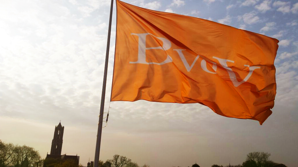Over BVDV Over BVDV