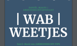 Cover Wab Weetjes E-Book