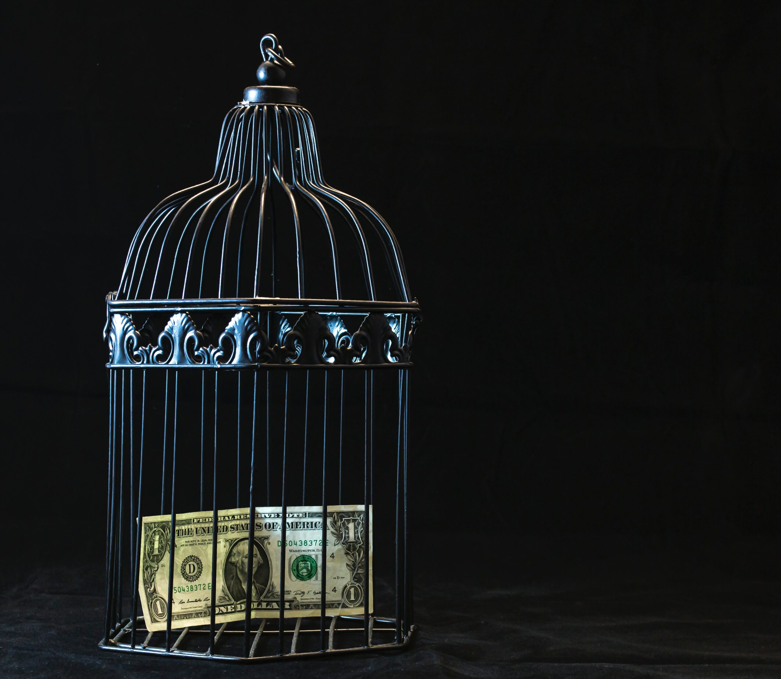 black-steel-pet-cage-with-one-dollar-747113 bedrijfstakpensioenfonds